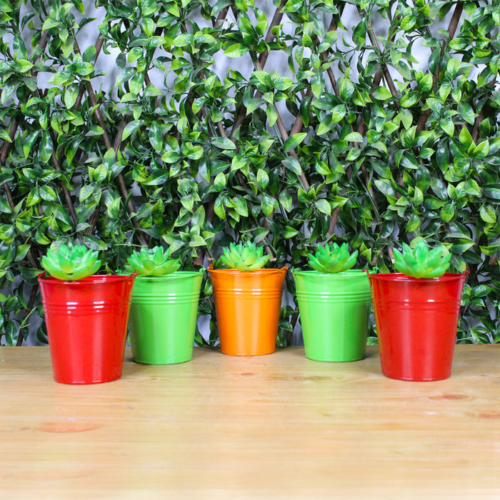 (Set of 5) Small Bucket Pot for Home and Decoration