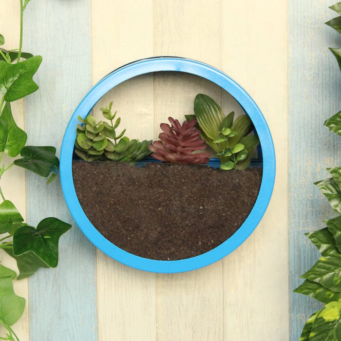 Medium Blue Ring Wall Ring Planter with Glass Front