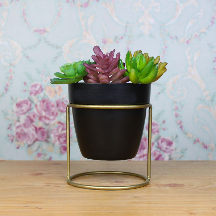 5.5 Inch Table Top Pot with Stand for Home Decoration (Black)