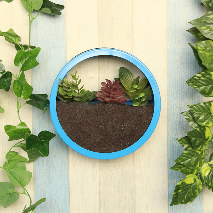 Small Blue Wall Ring Planter with Glass Front