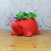 Ceramic Turtle Pot for Home and Balcony Decoration (Red) - Wonderland Garden Arts and Craft