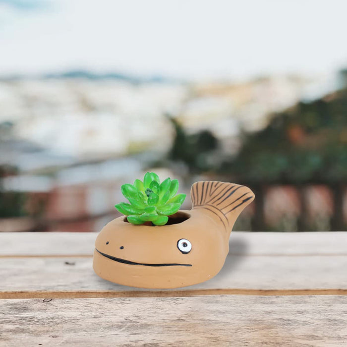 Terracotta Fish Pot for Small Plants & Succulents