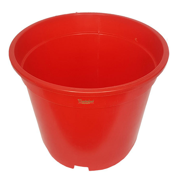 8 inch Set of 3 Big plastic pots for Outdoor ( Plastic Pots for Home Plants) (Red)