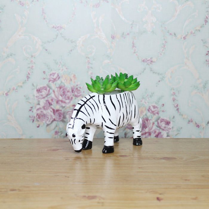 Small Zebra Succulent Pot for Home Decoration