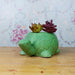 Ceramic Turtle Pot for Home and Balcony Decoration (Green) - Wonderland Garden Arts and Craft