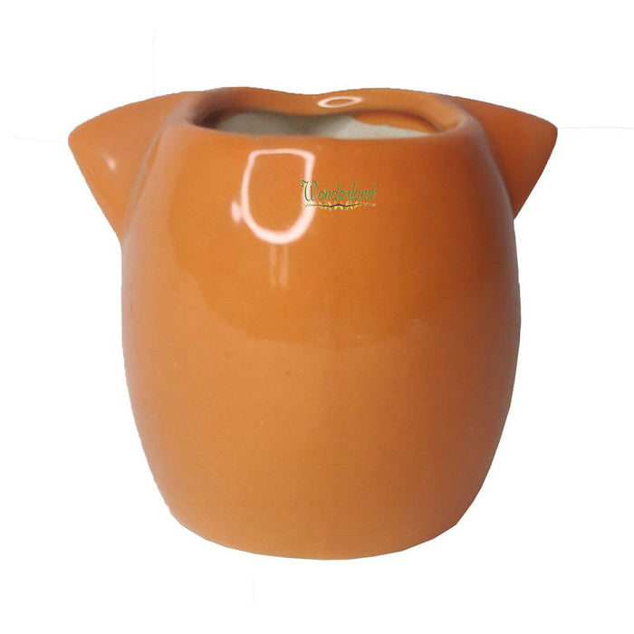Big Eyes Owl Orange Ceramic Succulent Pot for Home Decoration - Wonderland Garden Arts and Craft