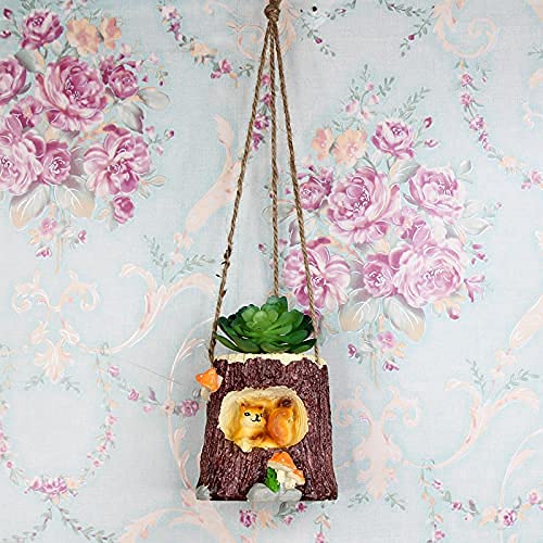 Hanging Squirrel Nest Succulent Pot for Home Decoration
