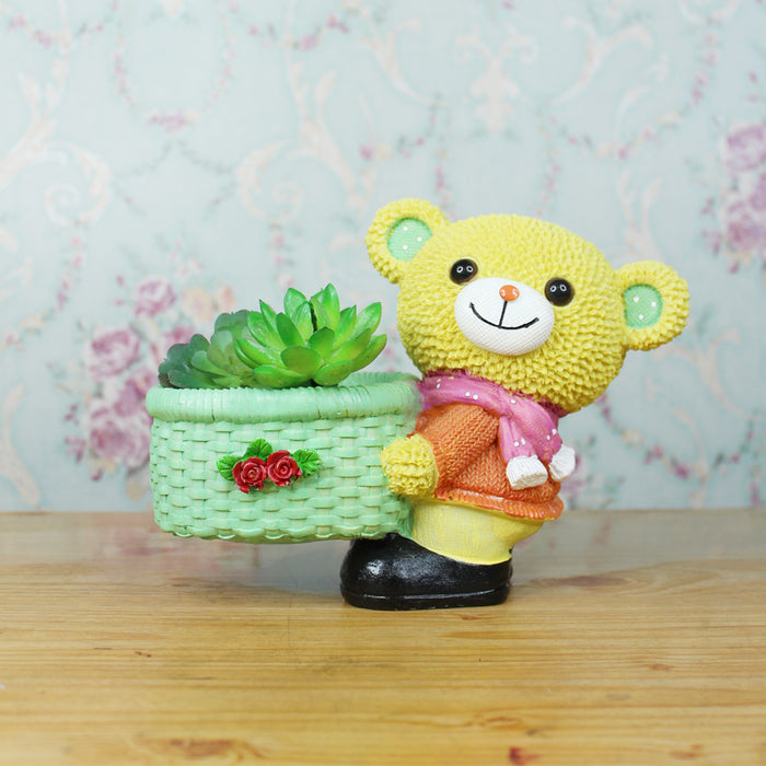 Teddy Bear Succulent for Home Decoration (Yellow)