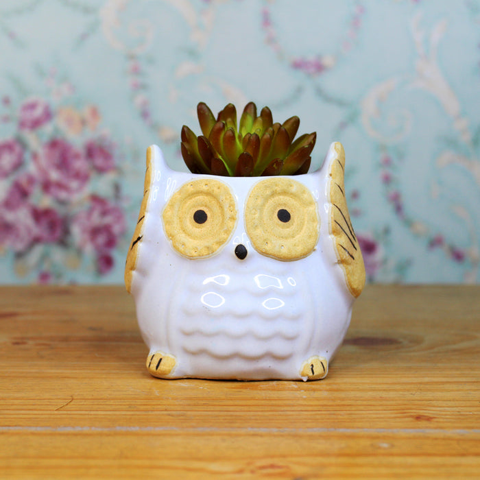 Ceramic Owl Pot for Home and Garden Decoration (Light Purple) - Wonderland Garden Arts and Craft