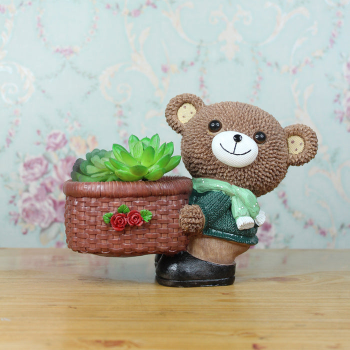 Teddy Bear Succulent for Home Decoration (Brown)