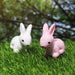 Miniature Toys : (Set of 10) Pink and White Bunny for Fairy Garden Accessories - Wonderland Garden Arts and Craft