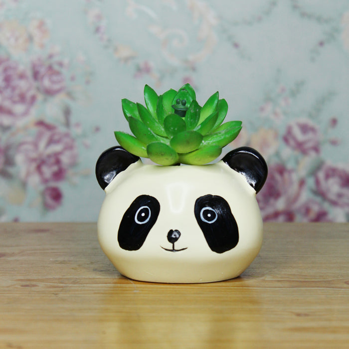 Small Panda Succulent Pot for Home and Balcony Decoration