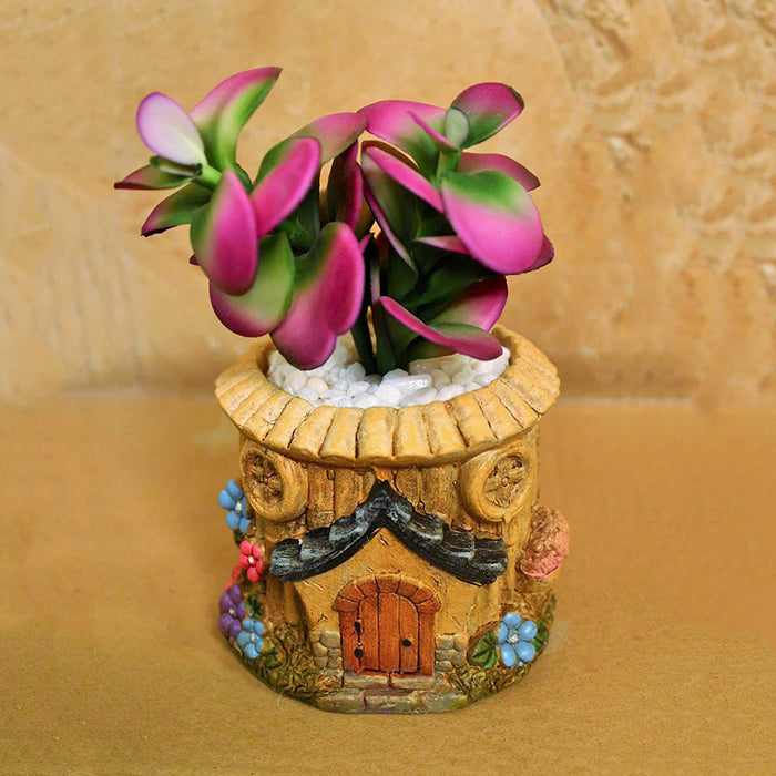 House Planter with Succulent for Home Decoration (House-E)