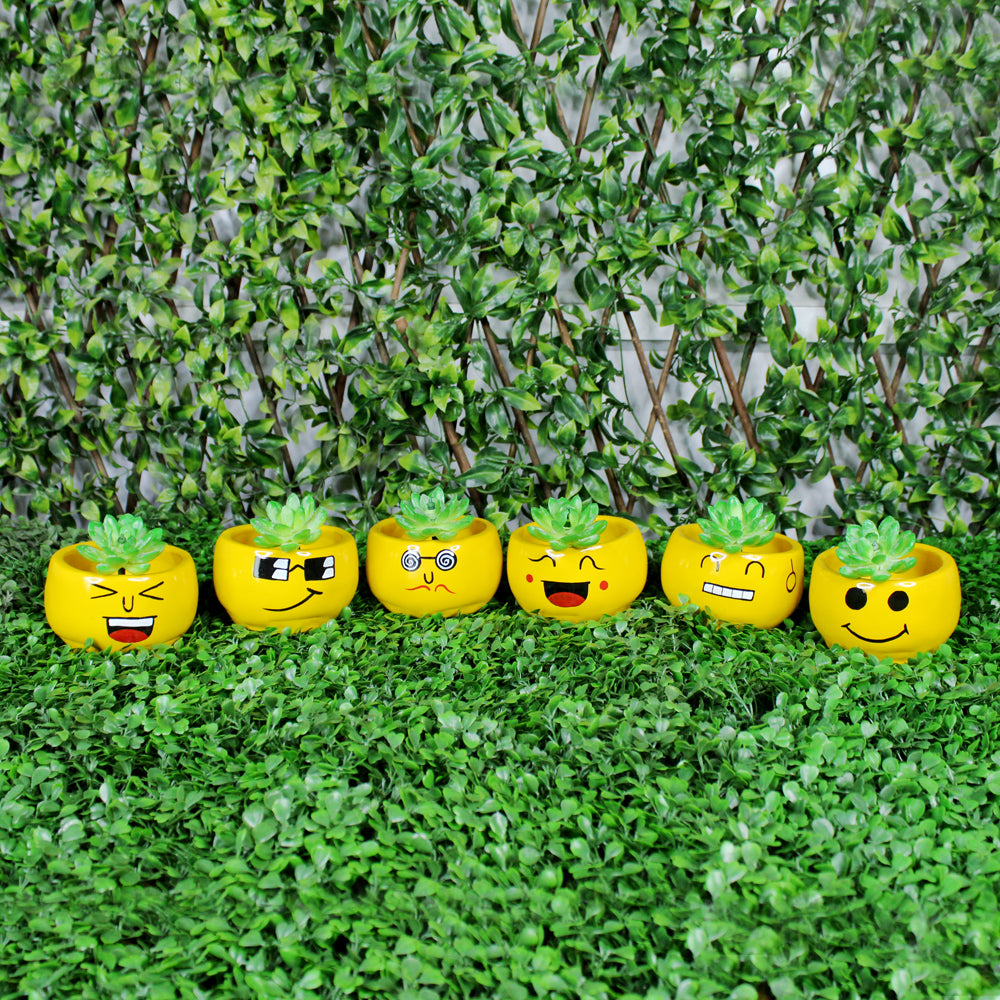 (Set of 6) Smiley Face Succulents Pot for Home Decoration