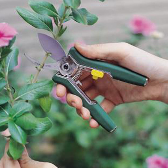 Garden tools : Mini Trimming Floral Shears Dark Green