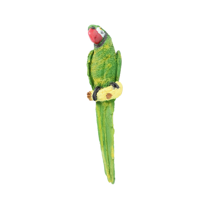 Green wall parrot
