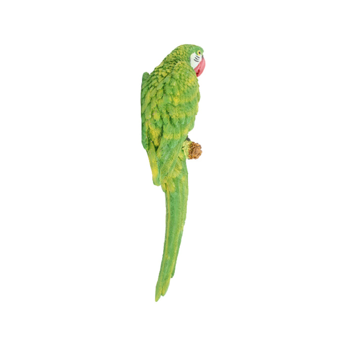 Green wall parrot