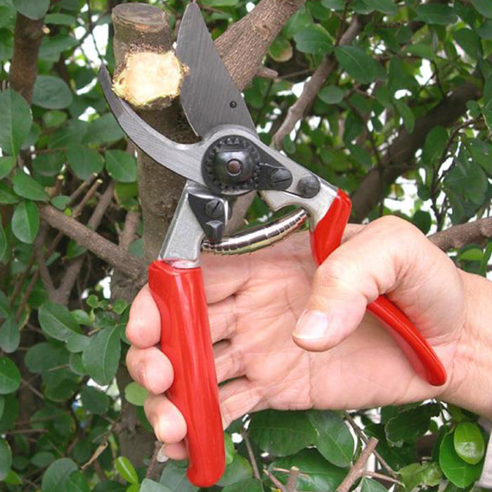 Garden tools :Nano 07 Plant Shears Red And Silver