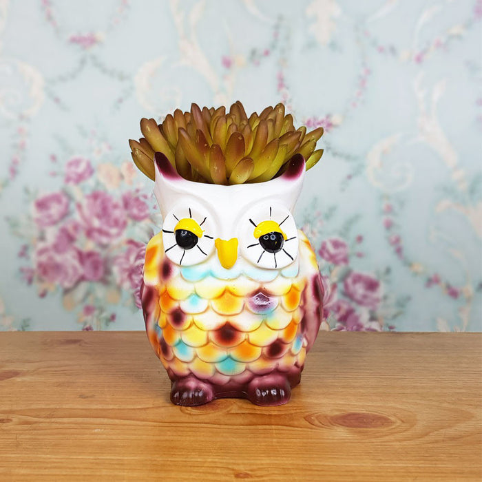 New Owl Succulent Pot for Home and Balcony Decoration