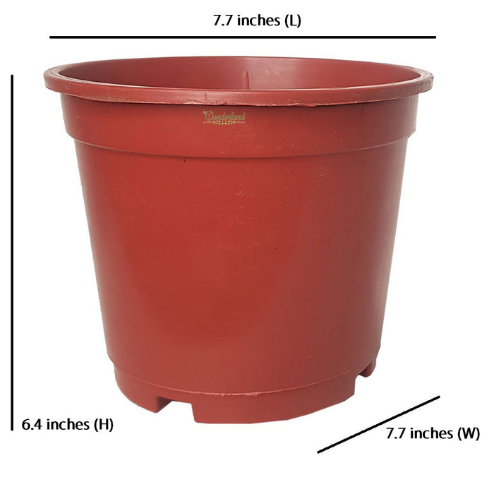 8 inch Set of 3  plastic pots for Outdoor ( Plastic Pots for Home Plants) (Terracotta)