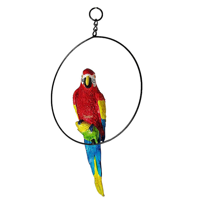Big Parrot in Ring Statue for Home and Garden Decoration