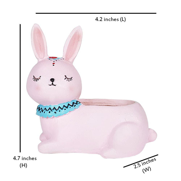 Rabbit Succulent Pot for Home and Balcony Decoration (Pink)