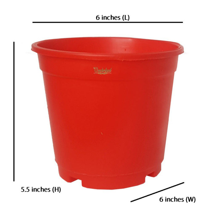 6 inch Set of 4 Small plastic pots for Outdoors ( Plastic Pots for Home Plants) (Red)