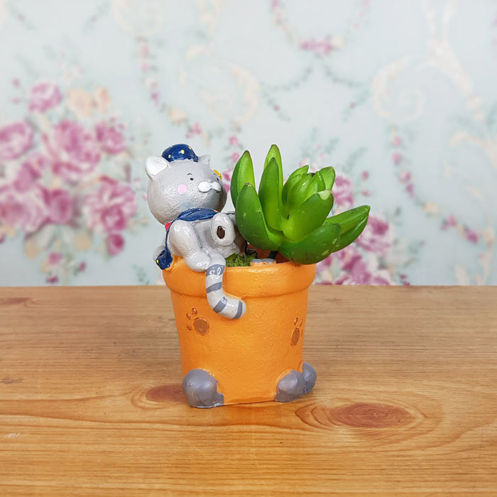 Sleepy Cat Succulent Pot for Home and Balcony Decoration