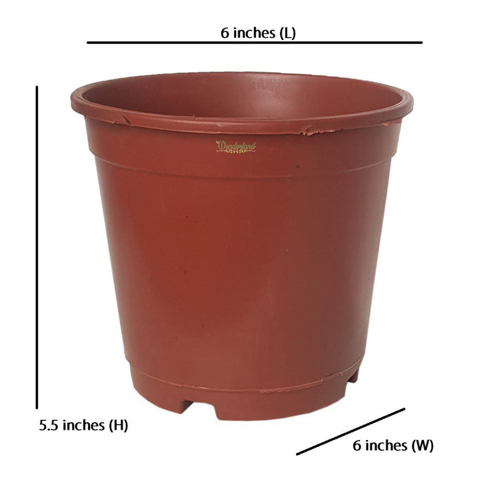 6 inch Set of 4 Small plastic pots for Outdoors ( Plastic Pots for Home Plants) (Teracotta)