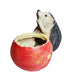 Hedgehog Apple Planter ( Decorative Resin pots for Outdoor) - Wonderland Garden Arts and Craft