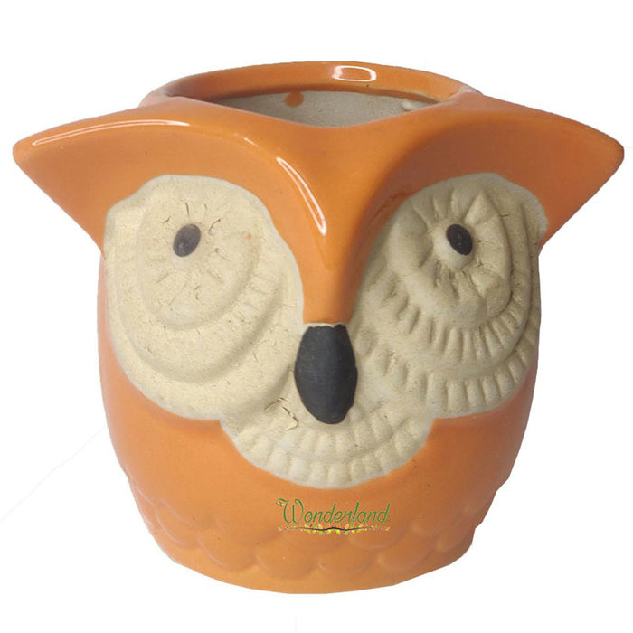 Big Eyes Owl Orange Ceramic Succulent Pot for Home Decoration - Wonderland Garden Arts and Craft