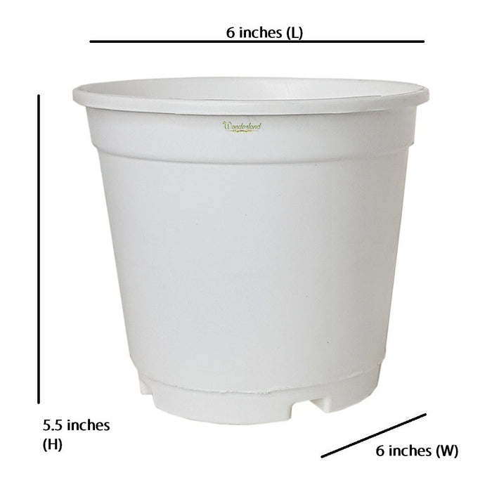6 inch Set of 4 Small plastic pots for Outdoors ( Plastic Pots for Home Plants) (White)