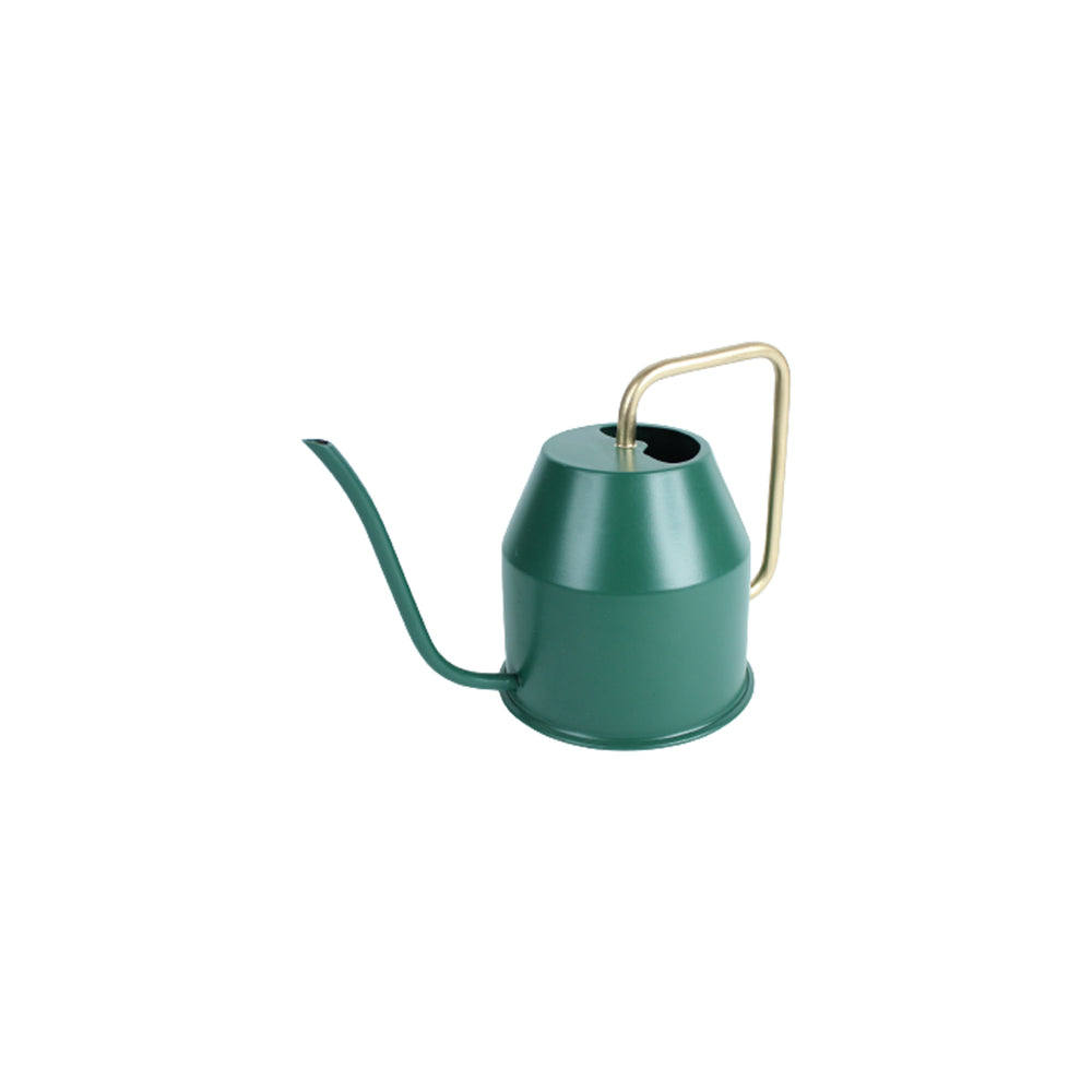 1 liter Water can for Home Use (Green)