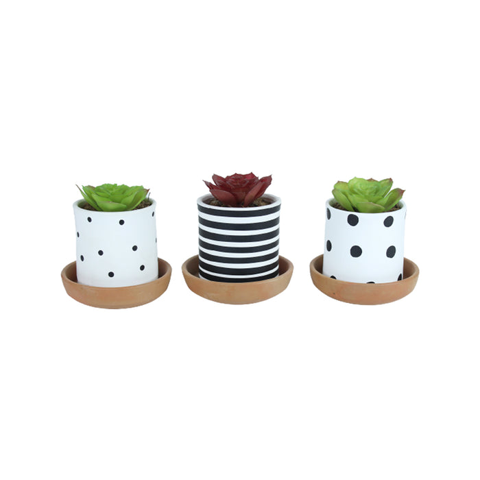 (Set of 3) Table Top Terracotta planters with Plate