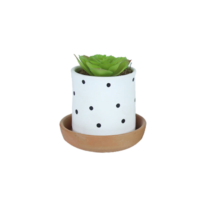4 inch Table Top Terracotta Planters with Plate