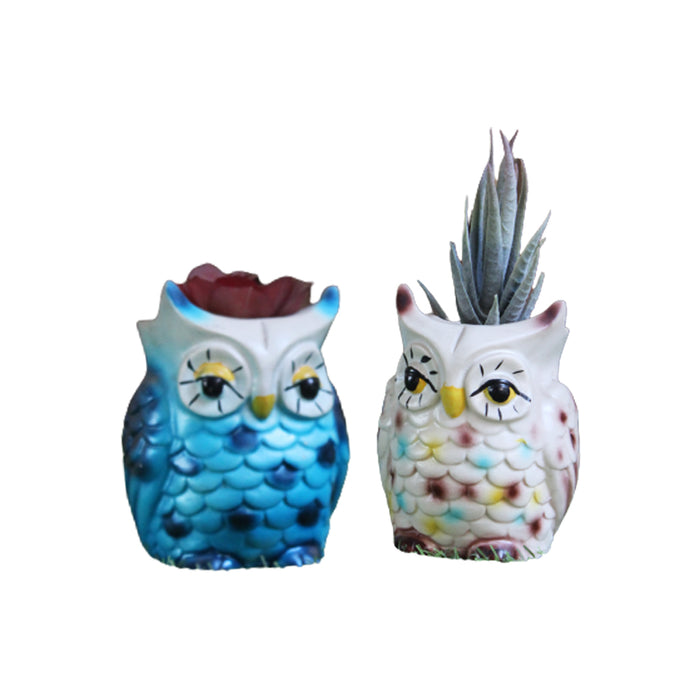 (Set of 2) Succulent Owl Planter for home Decoration.