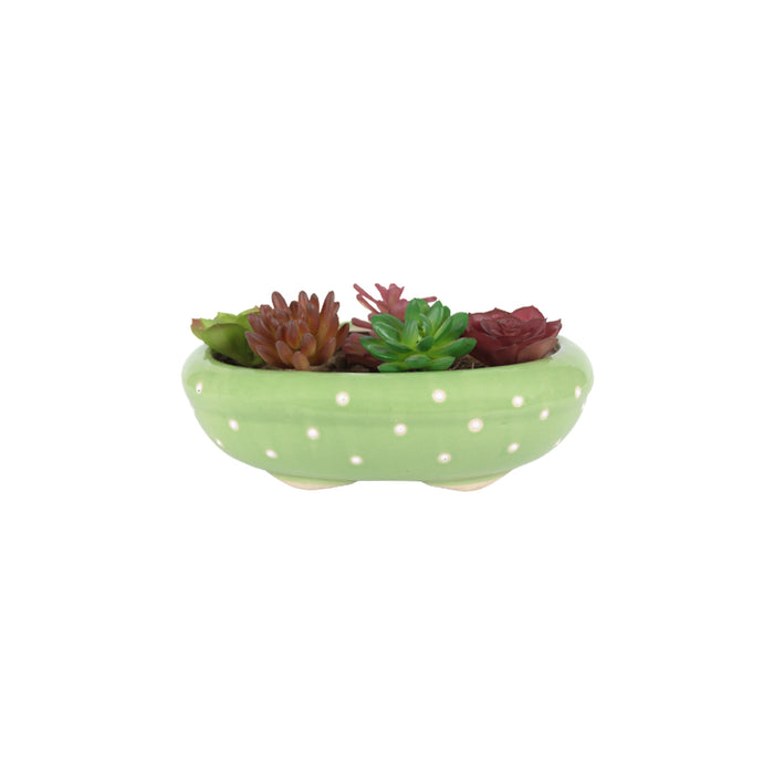 Ceramic Dotted Bonsai Tray Pot for Home Decoration (Green)