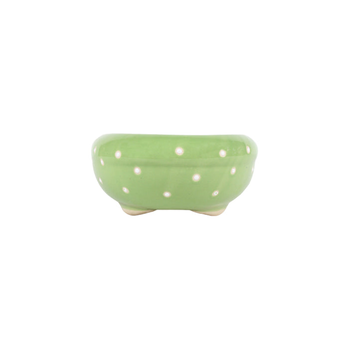 Ceramic Dotted Bonsai Tray Pot for Home Decoration (Green)