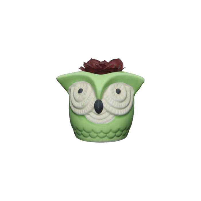 Big Eyes Owl Green Ceramic Succulent Pot for Home Decoration - Wonderland Garden Arts and Craft
