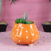 Ceramic Big Flower Shape Pot (Orange) - Wonderland Garden Arts and Craft