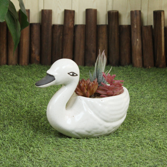 Ceramic Duck Pots for Home and Garden Decoration - Wonderland Garden Arts and Craft