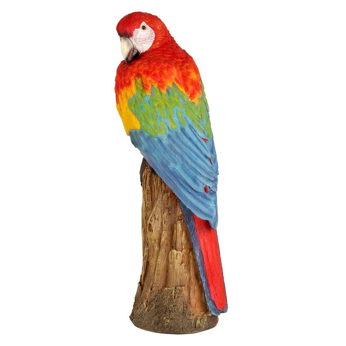 Scarlet Macaw/Parrot Sitting on Tree for Garden Decoration