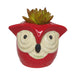 Big Eyes Owl Red Ceramic Succulent Pot for Home Decoration - Wonderland Garden Arts and Craft