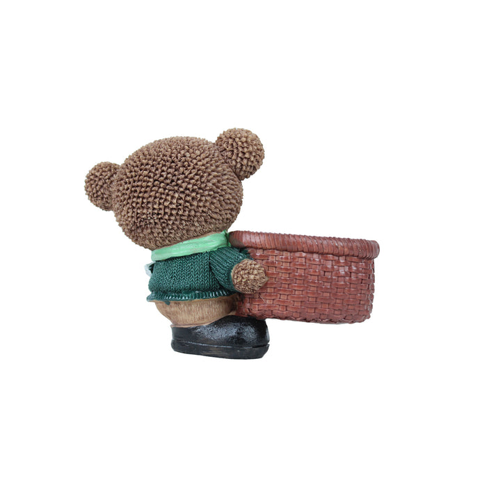 Teddy Bear Succulent for Home Decoration (Brown)