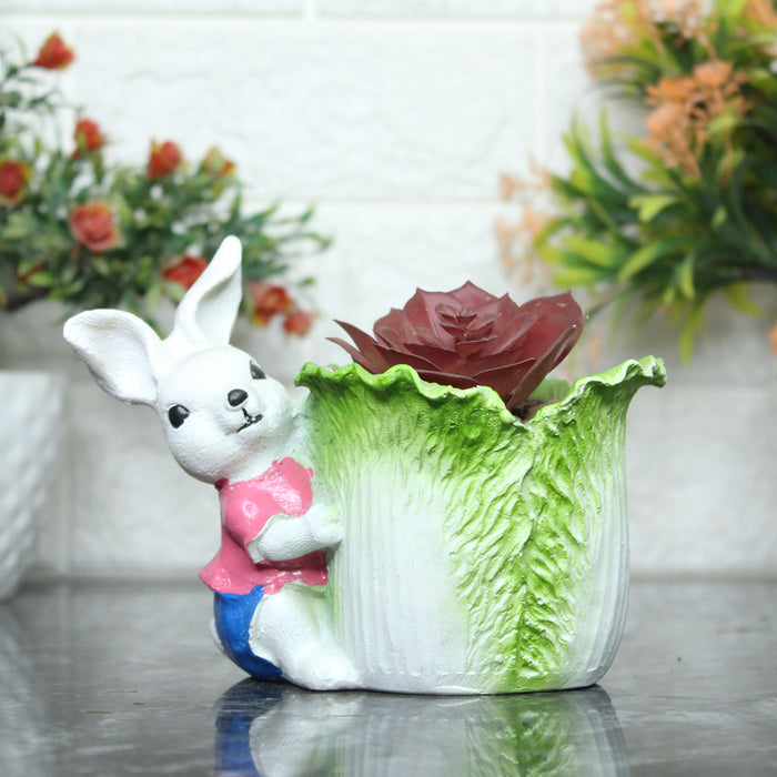 Bunny with Cabbage Succulent Pot for Home and Balcony Decoration