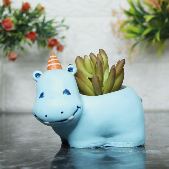 Blue Hippo Succulent Pot for Home and Balcony Decoration