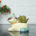Raccoon Succulent Pot for Home and Balcony Decoration - Wonderland Garden Arts and Craft
