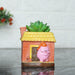 Pig in House Succulent Pot for Home and Balcony Decoration - Wonderland Garden Arts and Craft