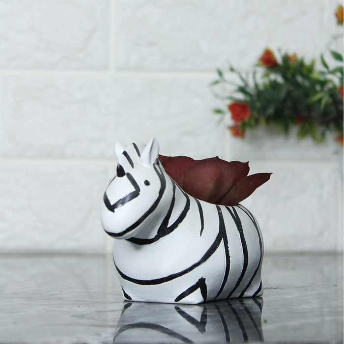 Zebra Succulent Pot for Home and Balcony Decoration - Wonderland Garden Arts and Craft