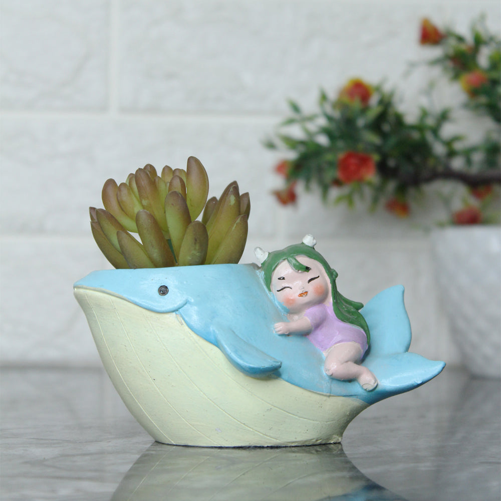 Whale Succulent Pot for Home Decoration